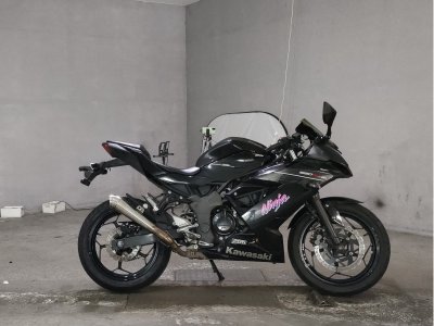 Kawasaki NINJA250 2016