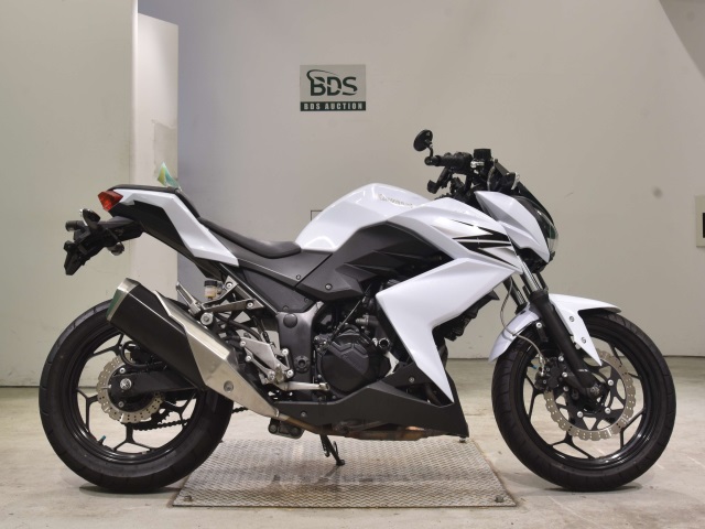 Kawasaki Z250 2013