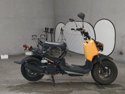 Honda ZOOMER 2012